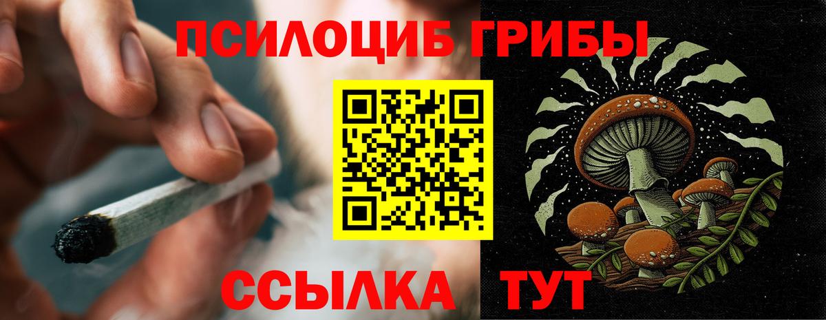 Балаково  где купить наркотик  Вход с VPN  Псилоцибиновые грибы прущие грибы 