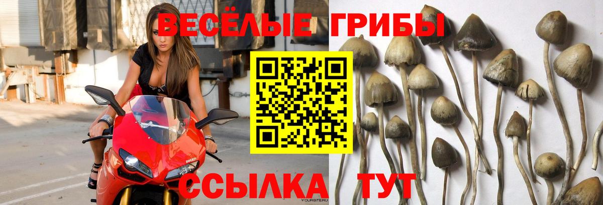 Галлюциногенные грибы Magic Shrooms Балаково
